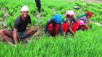 पन्ध्र लाख ९० हजार हेक्टरमा पुग्यो सिँचाइ सुविधा